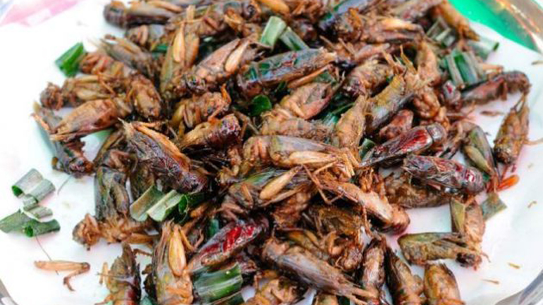 Ο ΟΗΕ συνιστά στους Ευρωπαίους να τρώνε έντομα